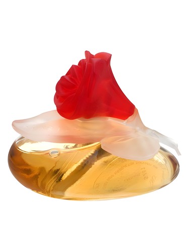 عطر ادکلن فیوریلو ان فلور پوپا - Fiorilu En Fleur Pupa - بررسی، قیمت و خرید