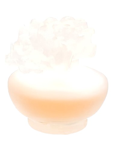 عطر ادکلن اورنج تروپیکال پوپا - Orange Tropical Pupa - بررسی، قیمت و خرید