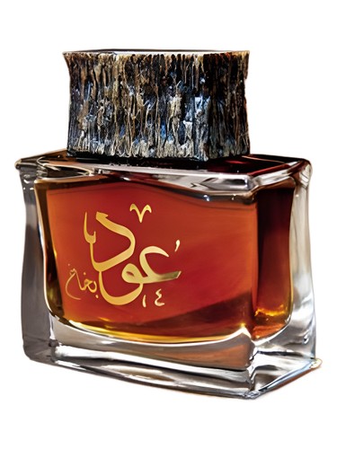 عطر ادکلن اود بخاخ جونیاد پرفیومز - Oud Bakhakh Junaid Perfumes - بررسی، قیمت و خرید
