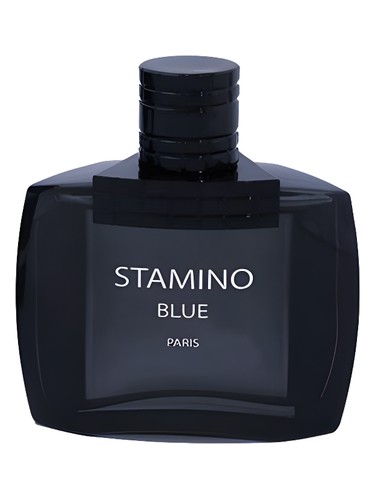 عطر ادکلن استامینو بلو پرایم کالکشن - Stamino Blue Prime Collection - بررسی، قیمت و خرید