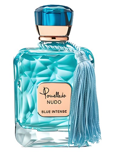 عطر ادکلن پوملاتو نودو بلو اینتنس پوملاتو - Pomellato Nudo Blue Intense Pomellato - بررسی، قیمت و خرید