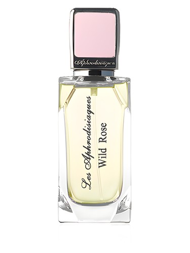 عطر ادکلن وایلد رز لز آفرودیزیاک - Wild Rose Les Aphrodisiaques - بررسی، قیمت و خرید