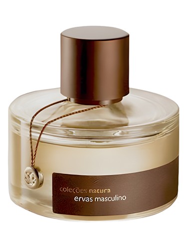عطر ادکلن اِروَس ماسکولینو ناتورا - Ervas Masculino Natura - بررسی، قیمت و خرید