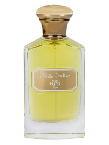 عطر ادکلن وایت ماریلا مارتیناتو - White Mariella Martinato - بررسی، قیمت و خرید