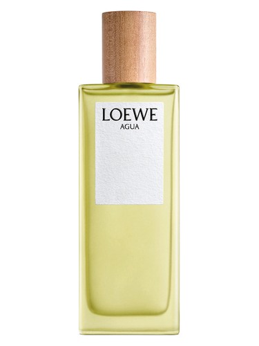 عطر ادکلن آگوا د لووه لویی - Agua de Loewe Loewe - بررسی، قیمت و خرید