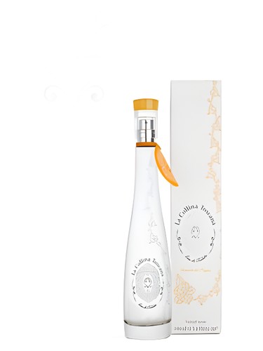 عطر ادکلن لا کولینا توسکانا هیلوک سانفلاور لا کولینا توسکانا - La Collina Toscana Hillock Sunflower La Collina Toscana - بررسی، قیمت و خرید