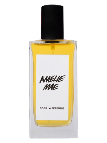 عطر ادکلن آملی مِی لاش - Amelie Mae Lush - بررسی، قیمت و خرید