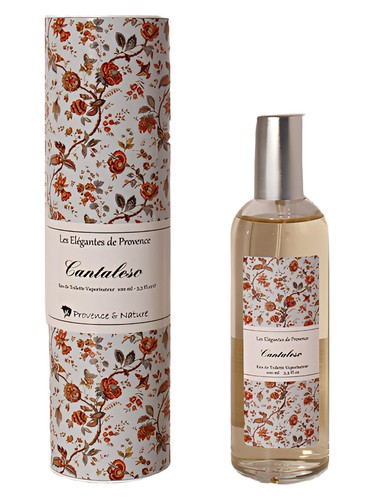 عطر ادکلن کنتالسو پرووانس اند نیچر - Cantaleso Provence & Nature - بررسی، قیمت و خرید