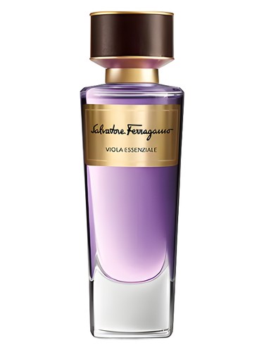 عطر ادکلن ویولا اسنسیال سالواتوره فراگامو - Viola Essenziale Salvatore Ferragamo - بررسی، قیمت و خرید