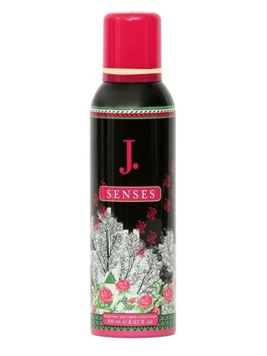 عطر ادکلن جی سنسز جانی جمشید - J. Senses Junaid Jamshed - بررسی، قیمت و خرید