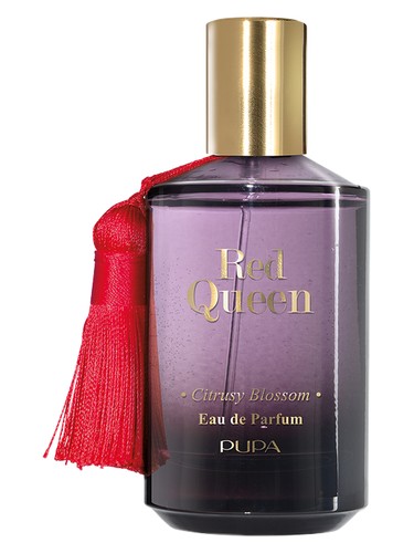 عطر ادکلن رِد کوئین سیترِسی بلوسوم پوپا - Red Queen Citrusy Blossom Pupa - بررسی، قیمت و خرید