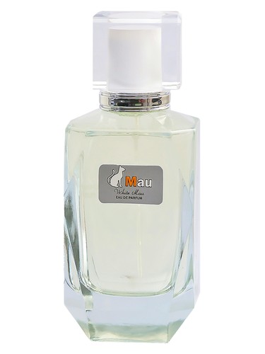 عطر ادکلن وایت ماو مو پرفیوم - White Mau Mau Perfume - بررسی، قیمت و خرید