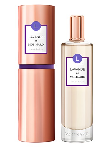 عطر ادکلن لاواند مولینارد - Lavande Molinard - بررسی، قیمت و خرید