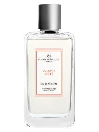 عطر ادکلن وولوپته دته پلانته اِ پَرفوم - Volupté d’Eté Plantes & Parfums - بررسی، قیمت و خرید