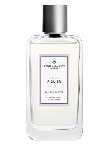 عطر ادکلن فلور دو فیگور پلانته آن پارفوم - Fleur de Figuier Plantes & Parfums - بررسی، قیمت و خرید