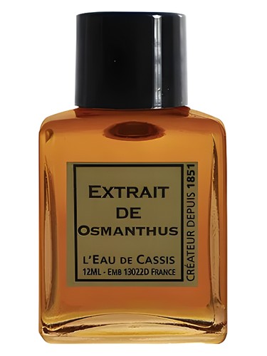 عطر ادکلن عثمانتوس لو د کاسی - Osmanthus L'Eau De Cassis - بررسی، قیمت و خرید