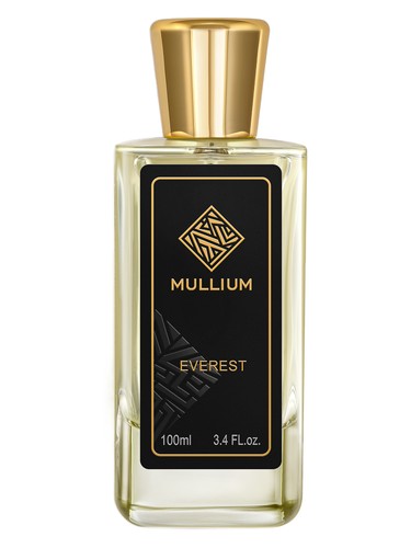 عطر ادکلن اورست مالیوم - everest Mullium - بررسی، قیمت و خرید