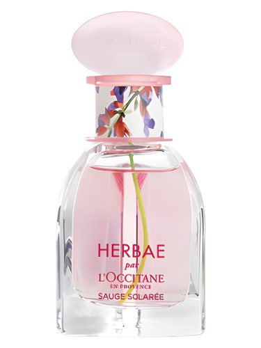 عطر ادکلن هربا کلری سیج لوکسیتان - Herbae Clary Sage L'Occitane en Provence - بررسی، قیمت و خرید