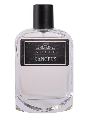 عطر ادکلن کانوپوس نوزِز - Canopus Noses - بررسی، قیمت و خرید