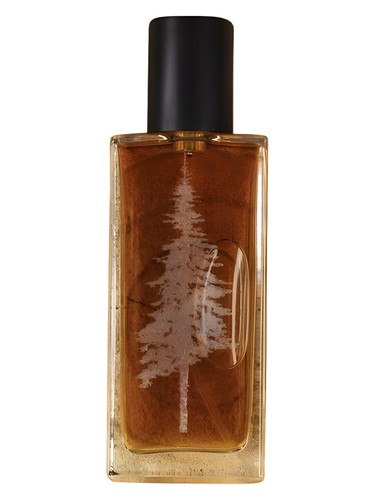عطر ادکلن چندلری پین وارد پرفیومز - Chandlery Pineward Perfumes - بررسی، قیمت و خرید