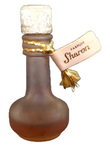 عطر ادکلن شارون جودیت مولر - Sharon Judith Muller - بررسی، قیمت و خرید
