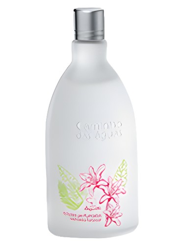 عطر ادکلن ادیسیونز پرفوماداس کاشوئرا فورتا‌کور ژکیتی - Edições Perfumadas Cachoeira Furta-Cor Jequiti - بررسی، قیمت و خرید