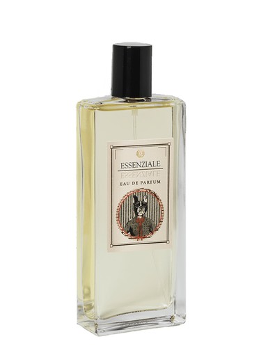 عطر ادکلن اسنسیئاله لوژوی فیرنزه ۱۹۶۵ - Essenziale Logevy Firenze 1965 - بررسی، قیمت و خرید