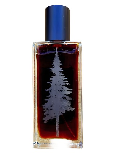 عطر ادکلن کَتاباتیک پاین‌وارد پرفیومز - Katabatic Pineward Perfumes - بررسی، قیمت و خرید