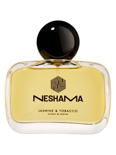 عطر ادکلن جَزمین اَند توبَکو نشاما پرفیوم - Jasmine & Tobacco Neshama Perfume - بررسی، قیمت و خرید