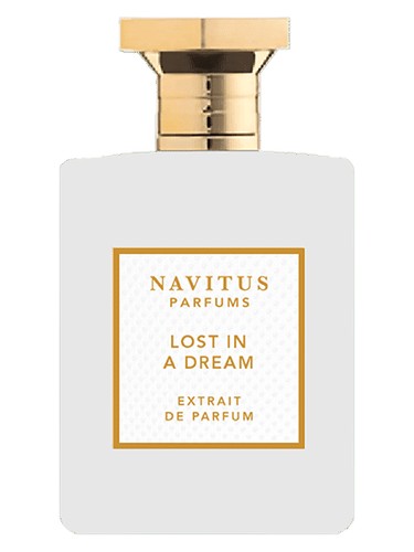 عطر ادکلن لاست این ا دریم ناویتوس پارفومز - Lost in a Dream Navitus Parfums - بررسی، قیمت و خرید