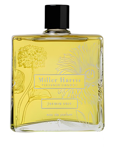عطر ادکلن ژاسمین ورت میلر هریس - Jasmin Vert Miller Harris - بررسی، قیمت و خرید