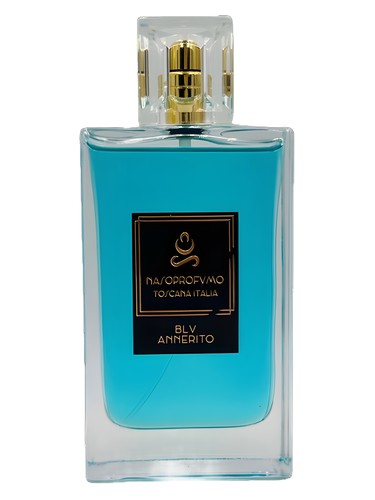 عطر ادکلن بلو آنریتو نازوپروفومو - Blu Annerito NasoProfumo - بررسی، قیمت و خرید