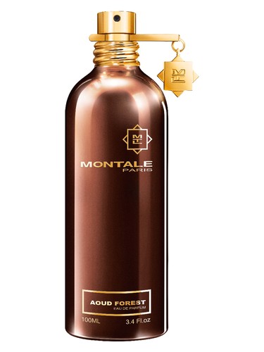 عطر ادکلن آود فورست مونتال - Aoud Forest Montale - بررسی، قیمت و خرید