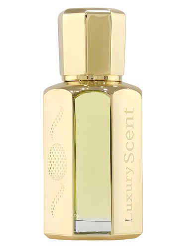 عطر ادکلن الیگنت من لاکچری سنت - Elegant Men Luxury Scent - بررسی، قیمت و خرید