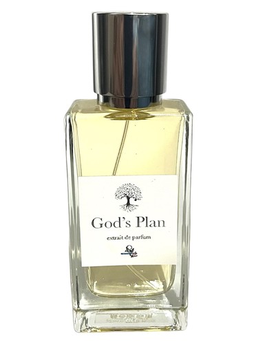 عطر ادکلن گادز پلن مورنینگ استار پرفیوم - God's Plan Morningstar Perfume - بررسی، قیمت و خرید