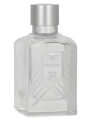 عطر ادکلن اوریِنت گُلد پوچینی پاریس - Orient Gold Puccini Paris - بررسی، قیمت و خرید