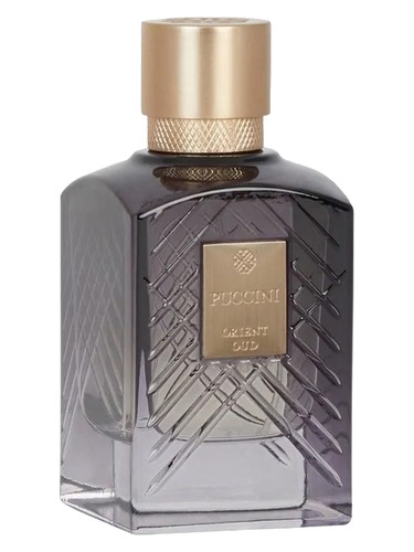 عطر ادکلن اورینت عود پوچینی پاریس - Orient Oud Puccini Paris - بررسی، قیمت و خرید