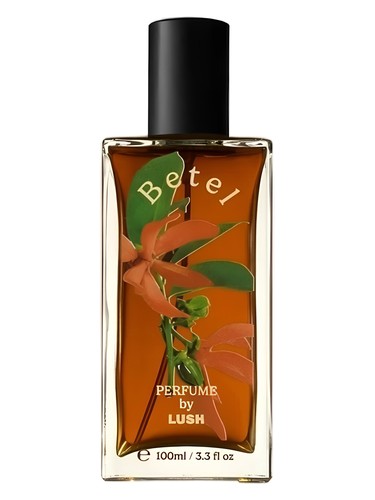 عطر ادکلن بیٹل لاش - Betel Lush - بررسی، قیمت و خرید