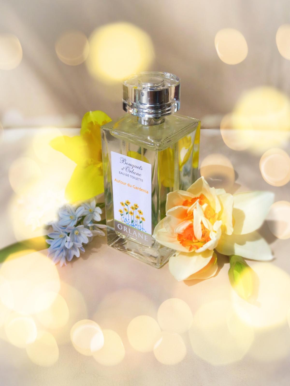 عطر ادکلن اوتور دو موگه اورلان - Autour du Muguet Orlane - بررسی، قیمت و خرید