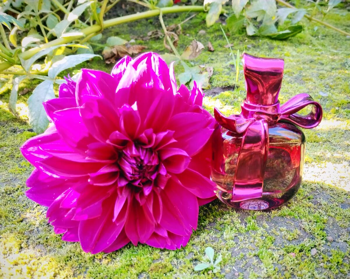 عطر ادکلن ریچی ریچی نینا ریچی - Ricci Ricci Nina Ricci - بررسی، قیمت و خرید