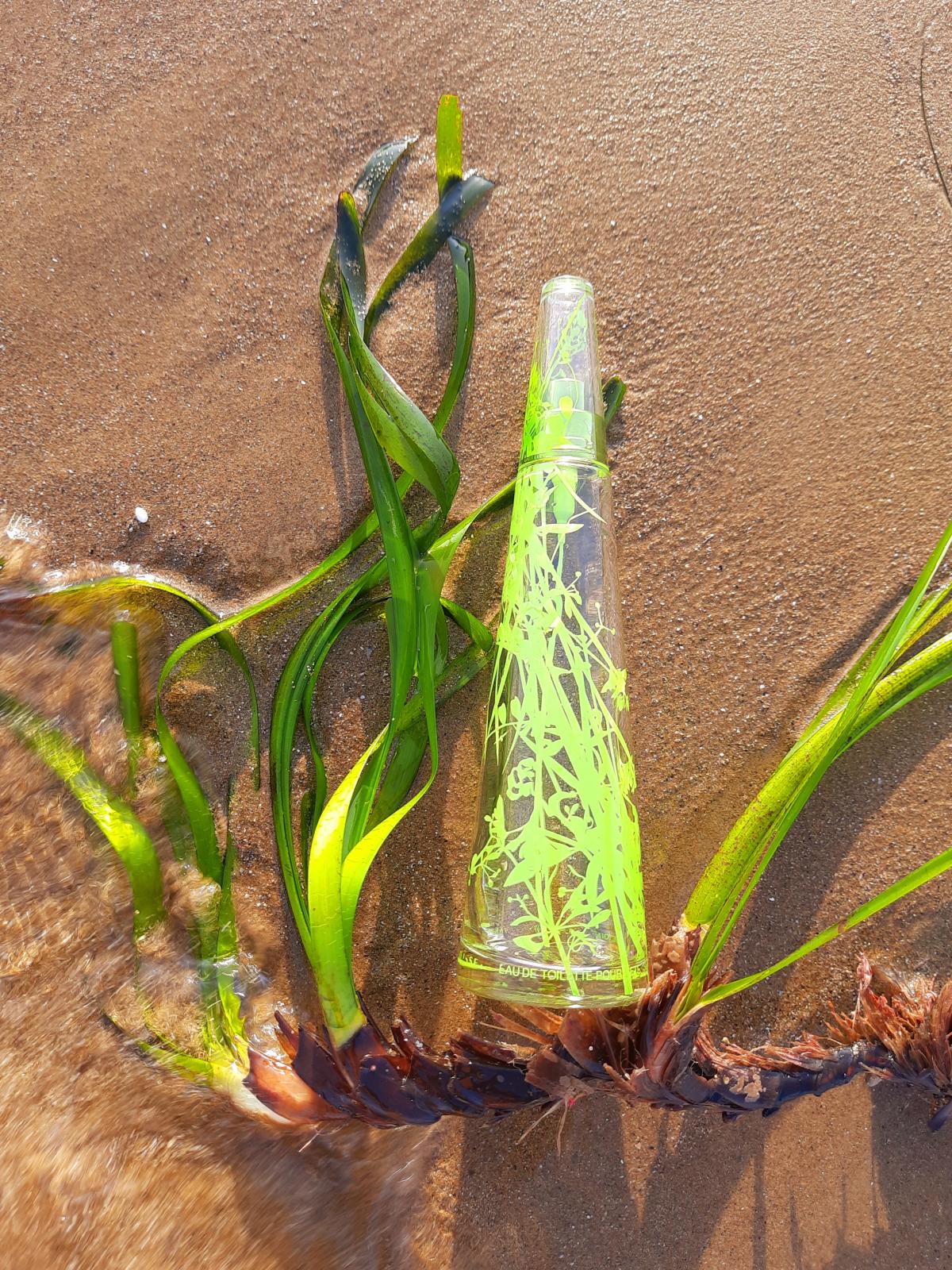 عطر ادکلن له دو ایسه سامر ۲۰۰۷ فم ایسی میاکی - L'Eau d'Issey Summer 2007 Femme Issey Miyake - بررسی، قیمت و خرید