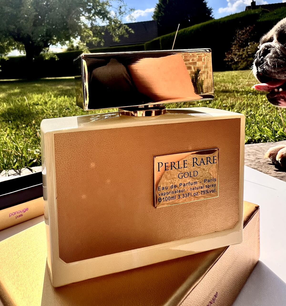 عطر ادکلن پرل رر گلد پانوج - Perle Rare Gold Panouge - بررسی، قیمت و خرید