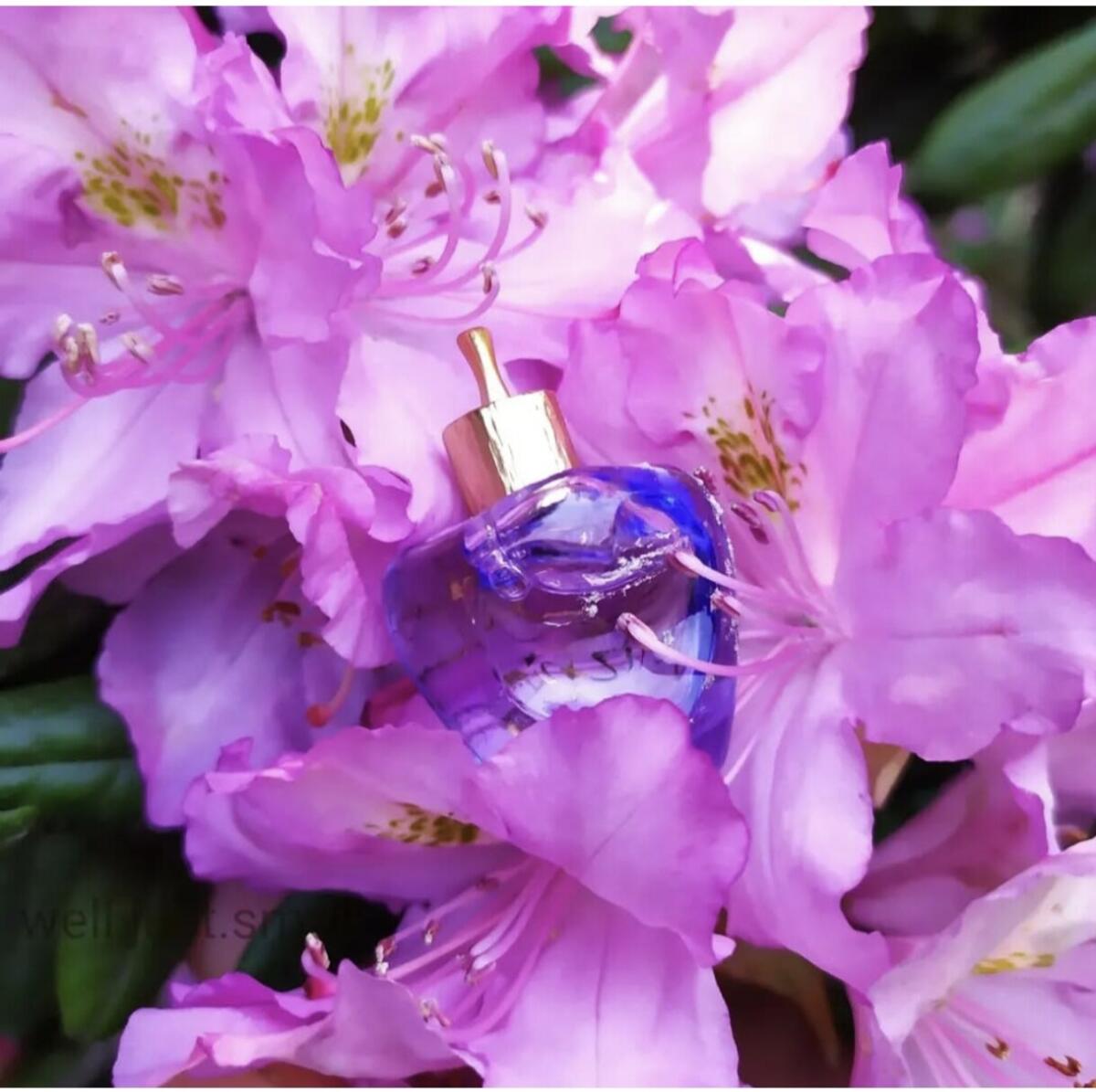 عطر ادکلن لولیتا لمپیکا ل پرمیه پارفوم او دو توالت (مرسور د آمور) لولیتا لمپیکا - Lolita Lempicka Le Premier Parfum Eau de Toilette (Morsure d'Amour) Lolita Lempicka - بررسی، قیمت و خرید