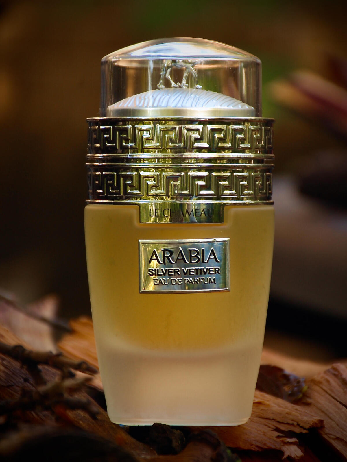 عطر ادکلن عربیا سیلور وتیور لشامو - Arabia Silver Vetiver Le Chameau - بررسی، قیمت و خرید