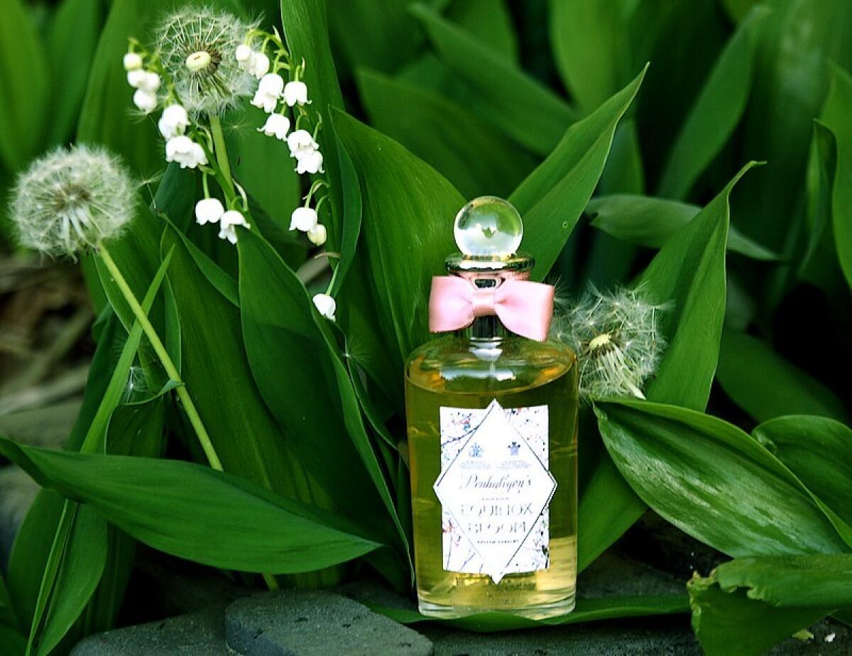 عطر ادکلن ایکوی‌ناکس بلوم پنالیگونز - Equinox Bloom Penhaligon's - بررسی، قیمت و خرید