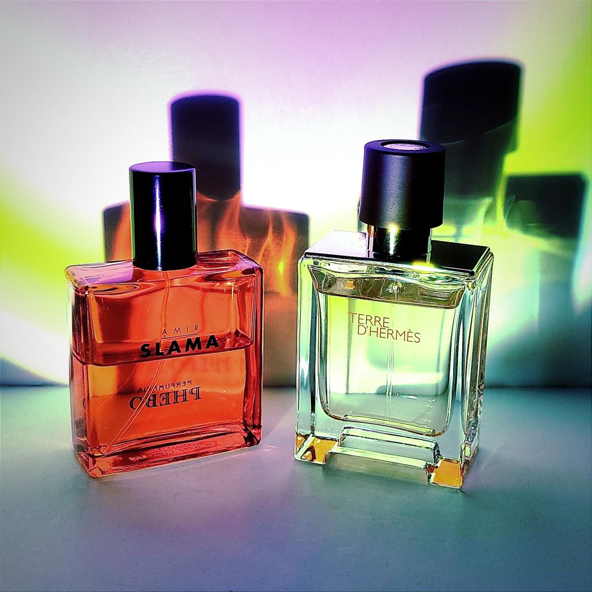 عطر ادکلن امیر اسلاما رئیس فیبو - Amir Slama Raiz Phebo - بررسی، قیمت و خرید