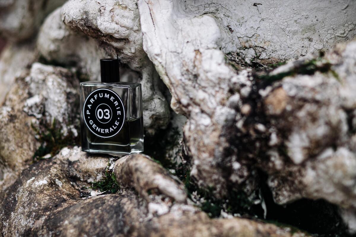 عطر ادکلن کویر وننوم زیرو سه پیر گیوم پاریس - Cuir Venenum 03 Pierre Guillaume Paris - بررسی، قیمت و خرید