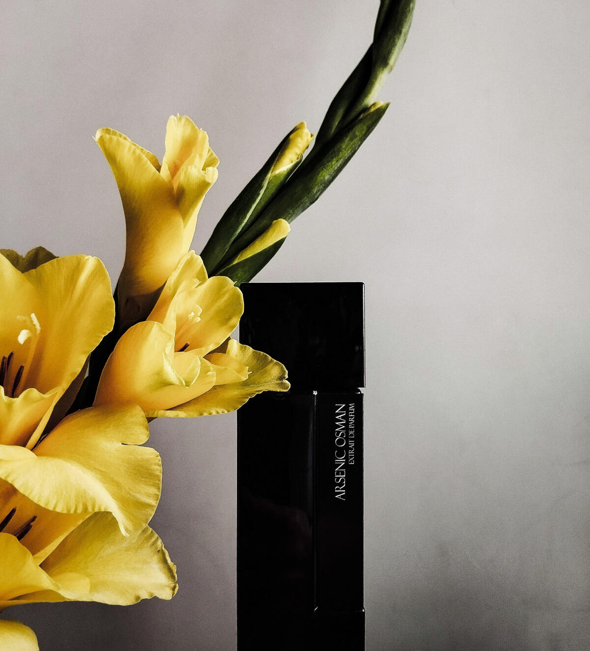 عطر ادکلن آرسنیک عثمان لوران مازون پارفوم - Arsenic Osman Laurent Mazzone Parfums - بررسی، قیمت و خرید