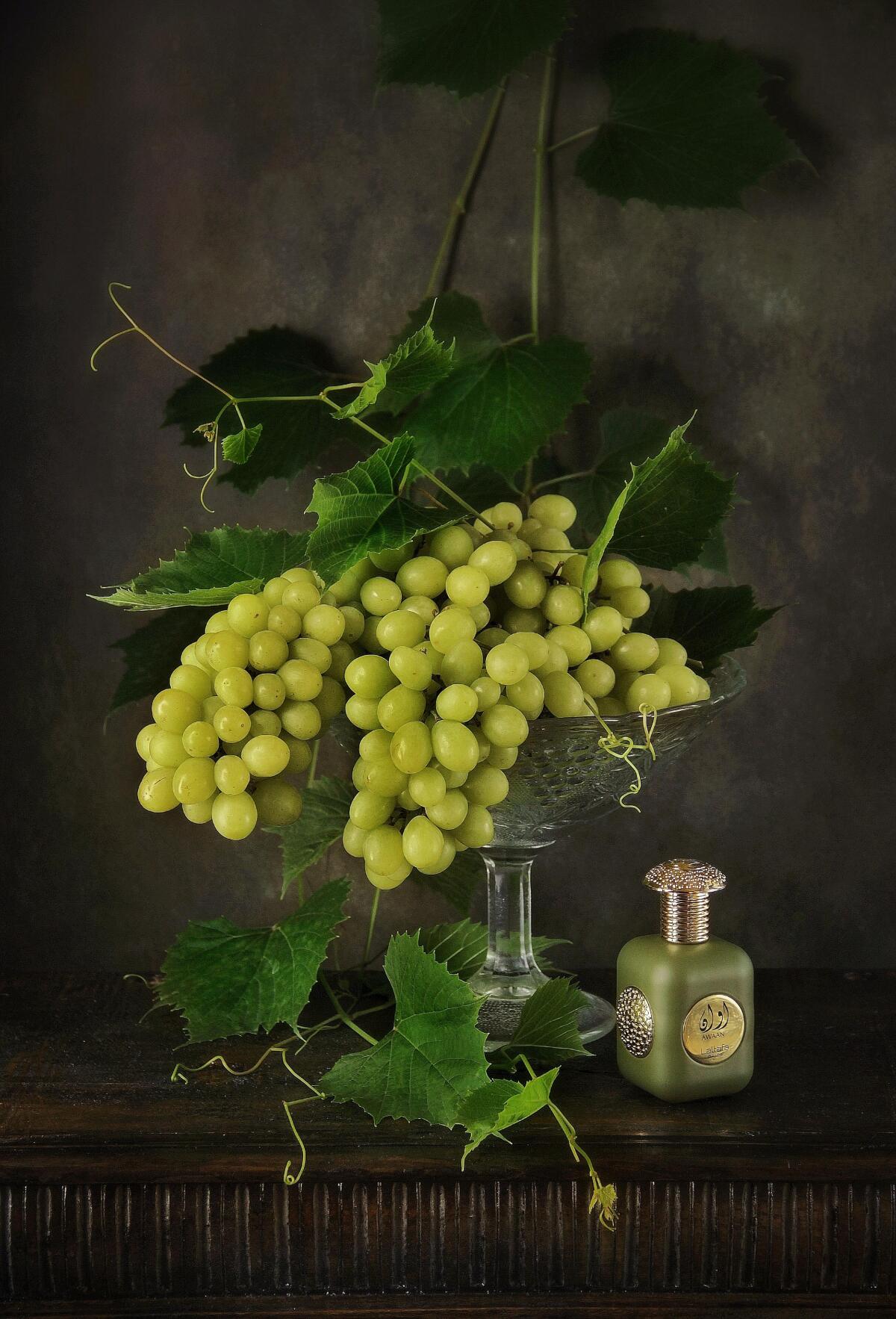 عطر ادکلن آوان لطافا پرفیومز - Awaan Lattafa Perfumes - بررسی، قیمت و خرید