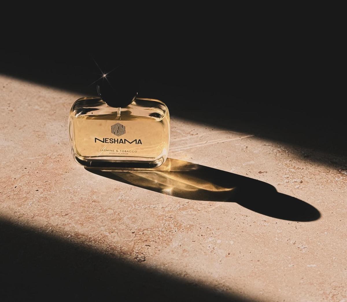عطر ادکلن جَزمین اَند توبَکو نشاما پرفیوم - Jasmine & Tobacco Neshama Perfume - بررسی، قیمت و خرید